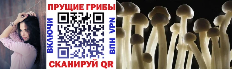 ОМГ ОМГ как войти Зуевка Галлюциногенные грибы ЛСД купить наркотики цена